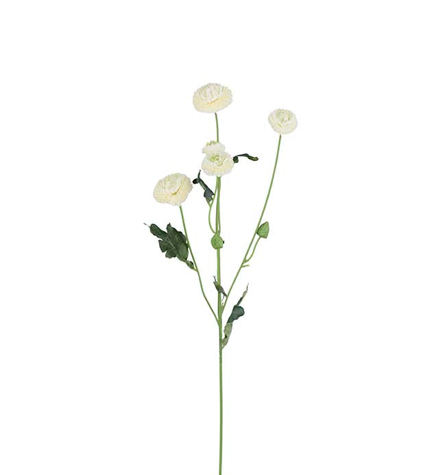 Chrysanthemum vit. 60 cm