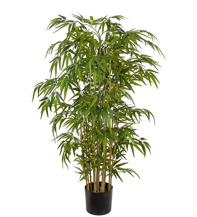 Bambu 150 cm
